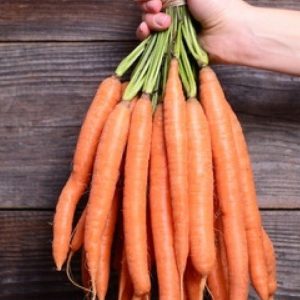 bundle of carrots