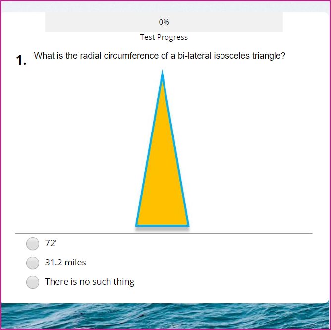 an image of a test question example including three options. 
